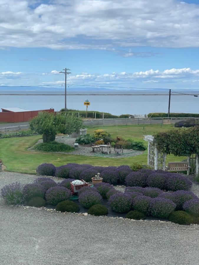 Alloggio per agriturismo Dungeness Barn House At Two Crows Farm Sequim