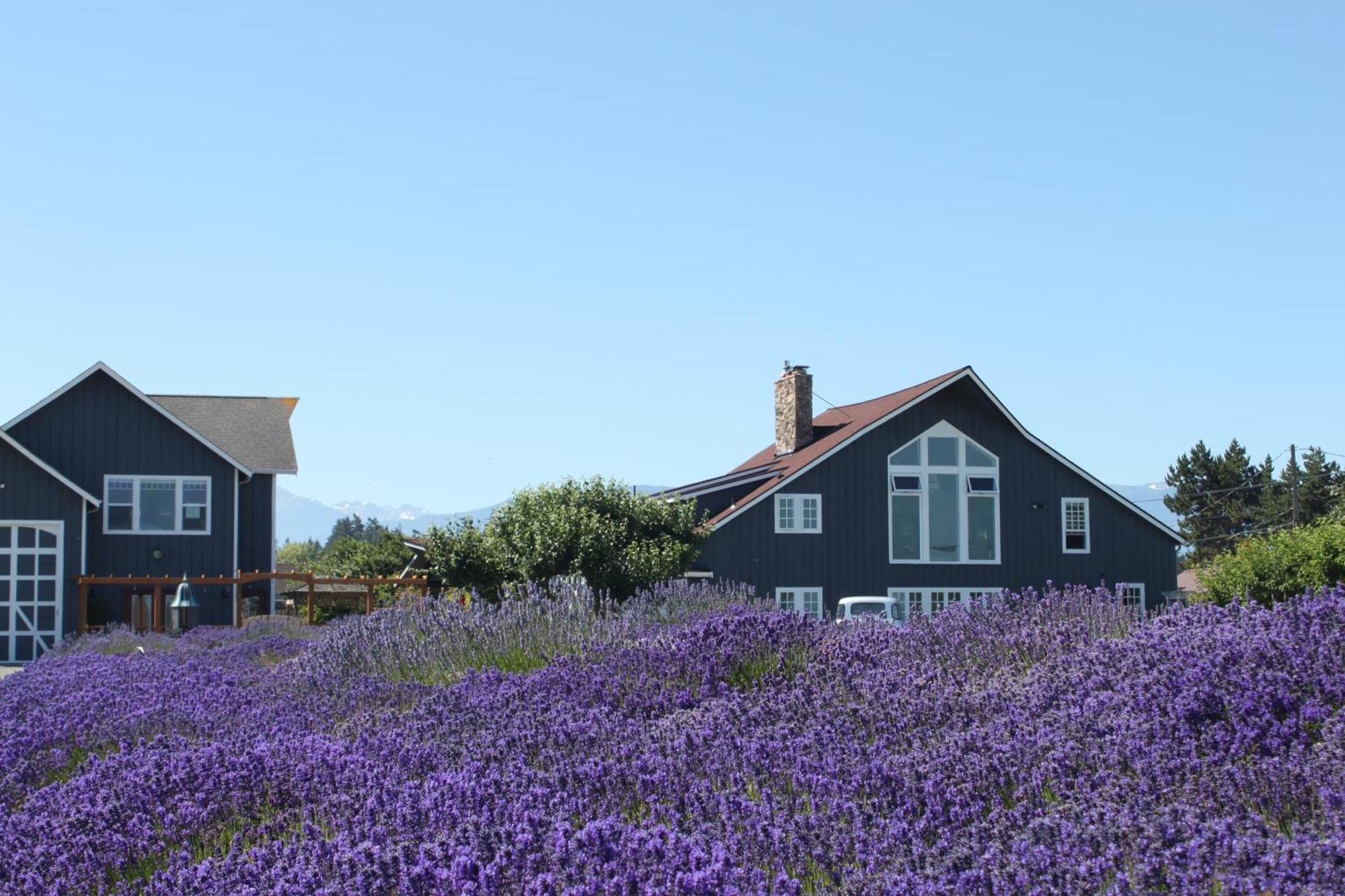 Dungeness Barn House At Two Crows Farm * Sequim
